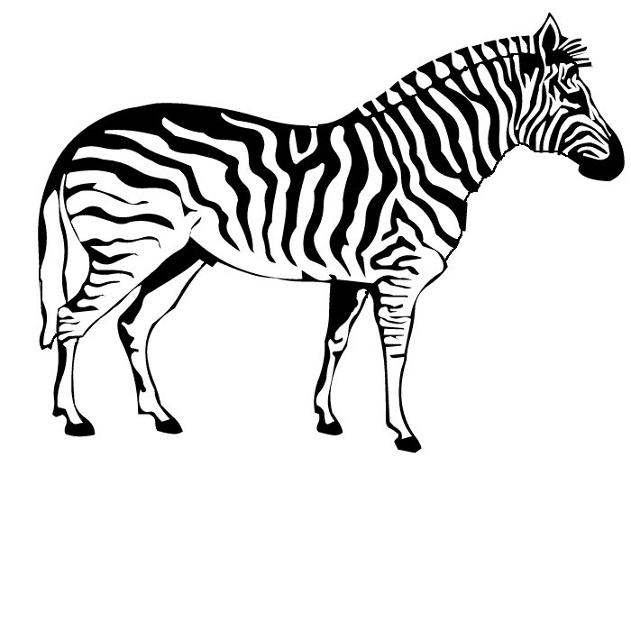 Раскраска: зебра (Животные) #12940 - Бесплатные раскраски для печати