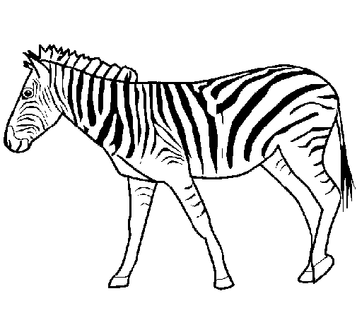 Раскраска: зебра (Животные) #12953 - Бесплатные раскраски для печати