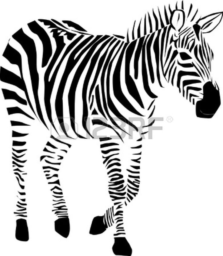 Раскраска: зебра (Животные) #12957 - Бесплатные раскраски для печати