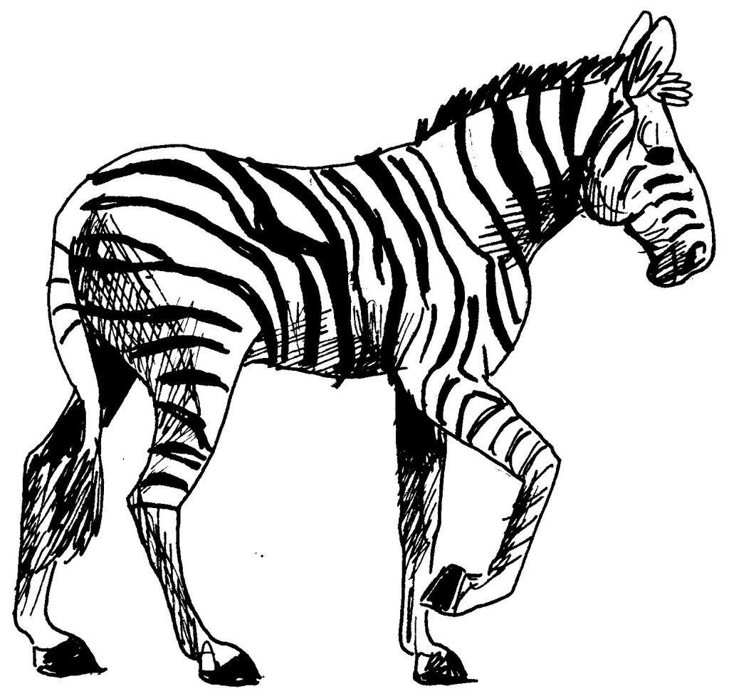 Раскраска: зебра (Животные) #12962 - Бесплатные раскраски для печати