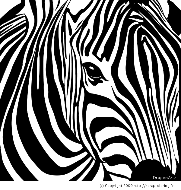Раскраска: зебра (Животные) #12965 - Бесплатные раскраски для печати