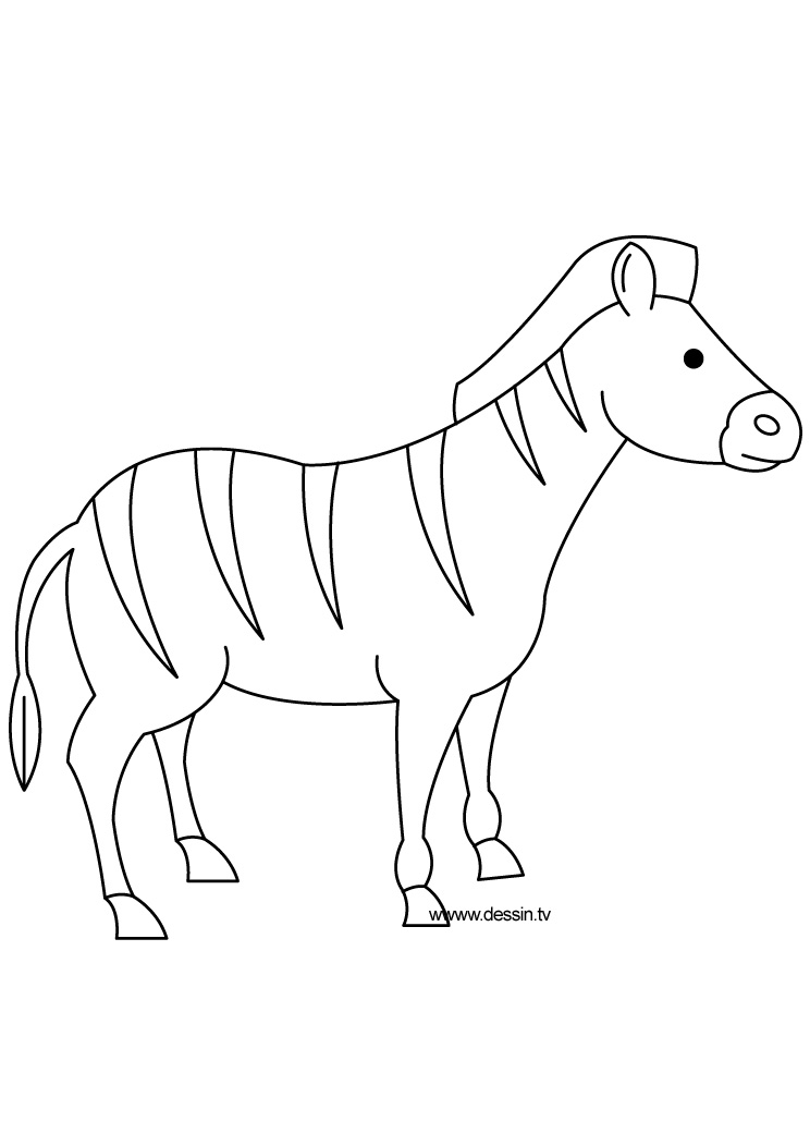 Раскраска: зебра (Животные) #12989 - Бесплатные раскраски для печати