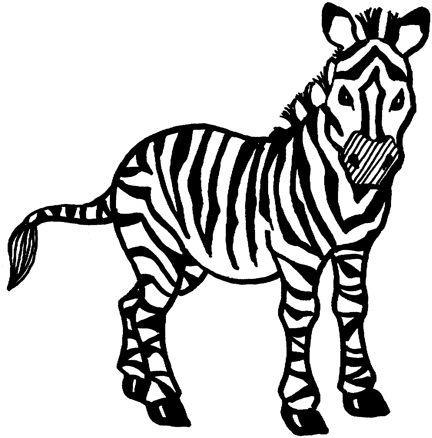 Раскраска: зебра (Животные) #13019 - Бесплатные раскраски для печати