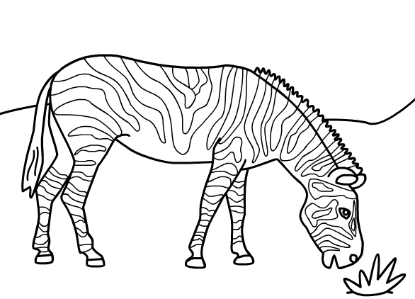 Раскраска: зебра (Животные) #13035 - Бесплатные раскраски для печати