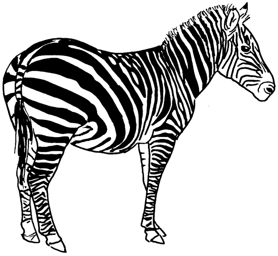 Раскраска: зебра (Животные) #13039 - Бесплатные раскраски для печати