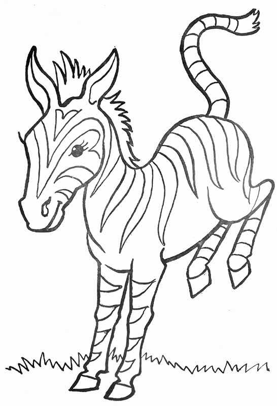 Раскраска: зебра (Животные) #13105 - Бесплатные раскраски для печати
