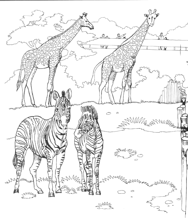 Раскраска: зоопарк (Животные) #12677 - Бесплатные раскраски для печати
