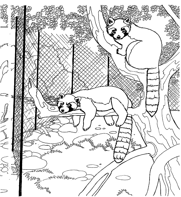 Раскраска: зоопарк (Животные) #12702 - Бесплатные раскраски для печати