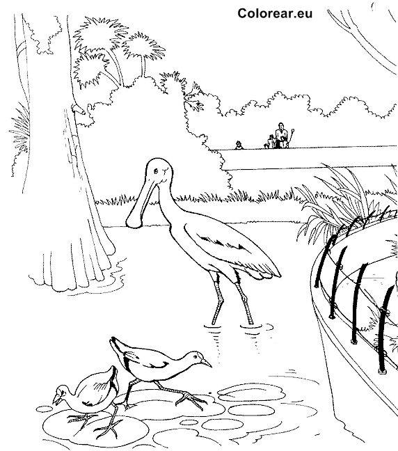 Раскраска: зоопарк (Животные) #12833 - Бесплатные раскраски для печати