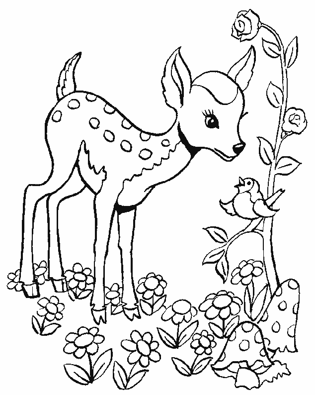 Раскраска: Bambi (Анимационные фильмы) #128789 - Бесплатные раскраски для печати