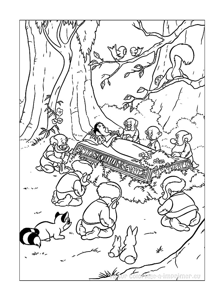 Раскраска: Белоснежка и семь гномов (Анимационные фильмы) #133927 - Бесплатные раскраски для печати