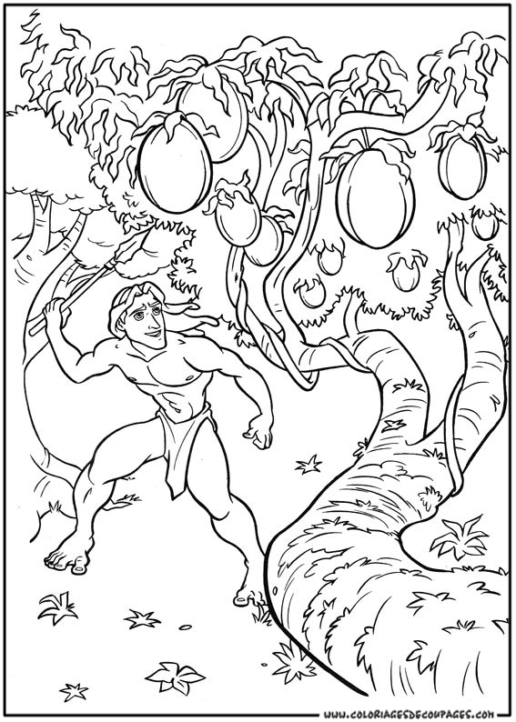 Раскраска: Тарзан (Анимационные фильмы) #131107 - Бесплатные раскраски для печати