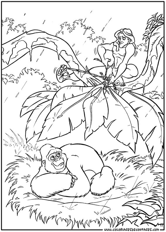 Раскраска: Тарзан (Анимационные фильмы) #131297 - Бесплатные раскраски для печати
