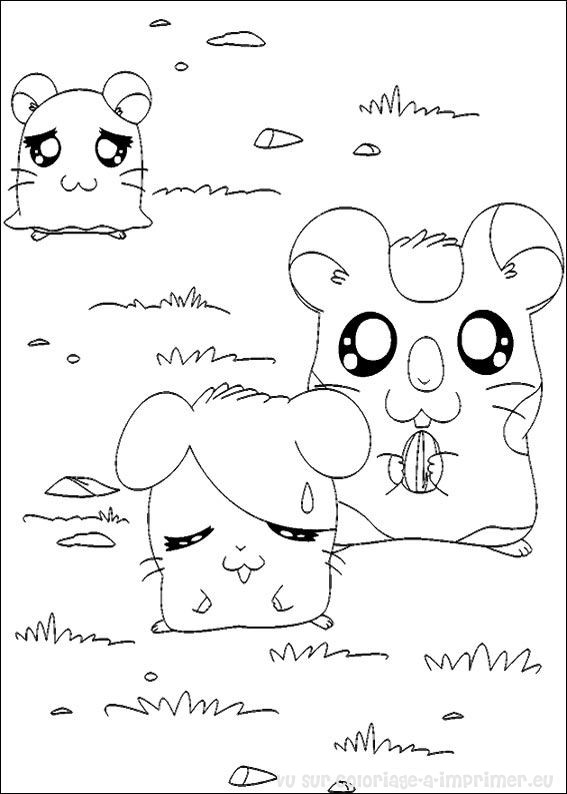 Раскраска: Hamtaro (мультфильмы) #40188 - Бесплатные раскраски для печати