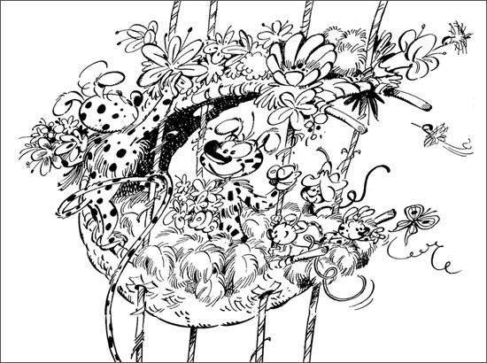 Раскраска: Marsupilami (мультфильмы) #50100 - Бесплатные раскраски для печати