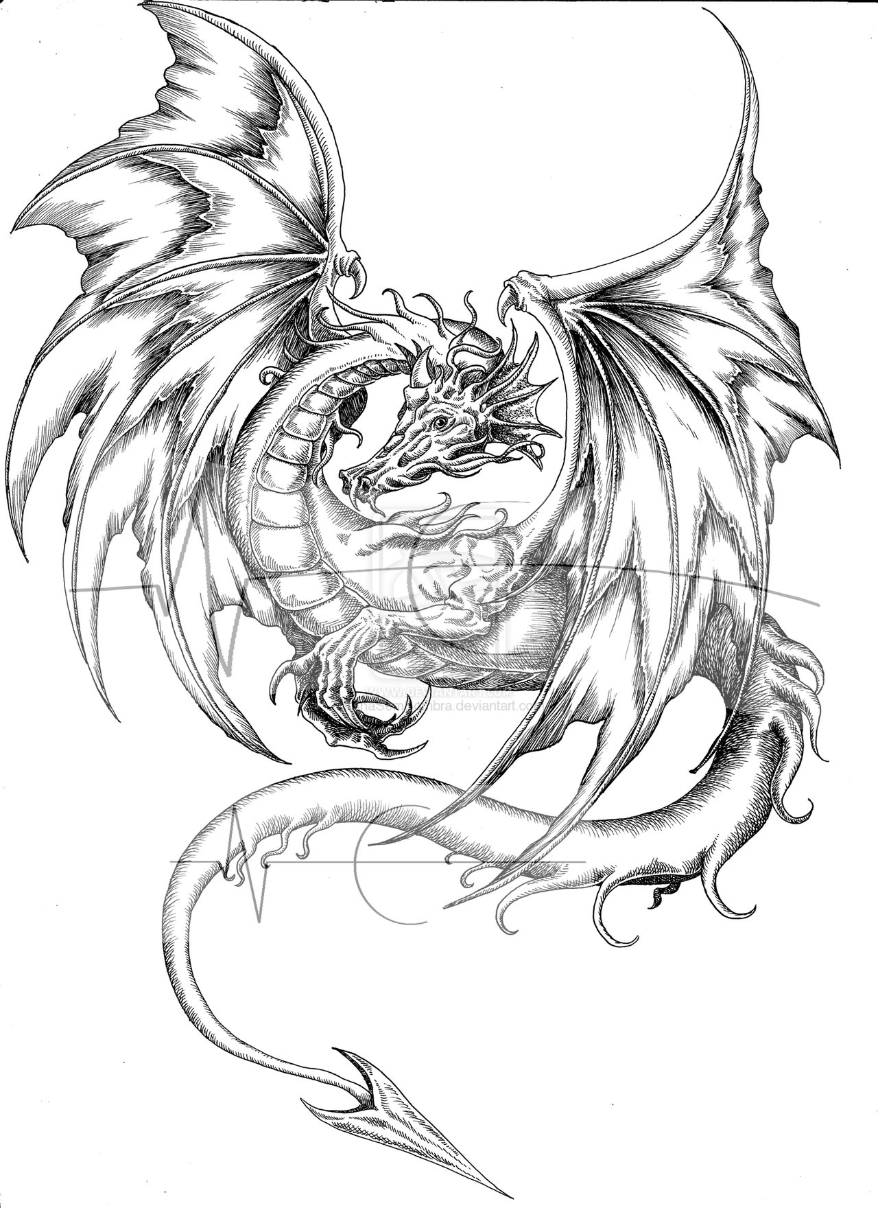 Раскраска: дракон (Персонажи) #148555 - Бесплатные раскраски для печати