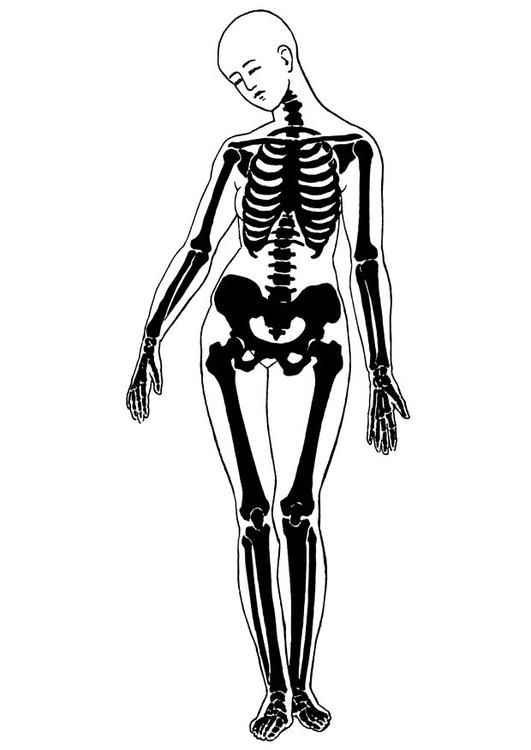 Раскраска: скелет (Персонажи) #147418 - Бесплатные раскраски для печати