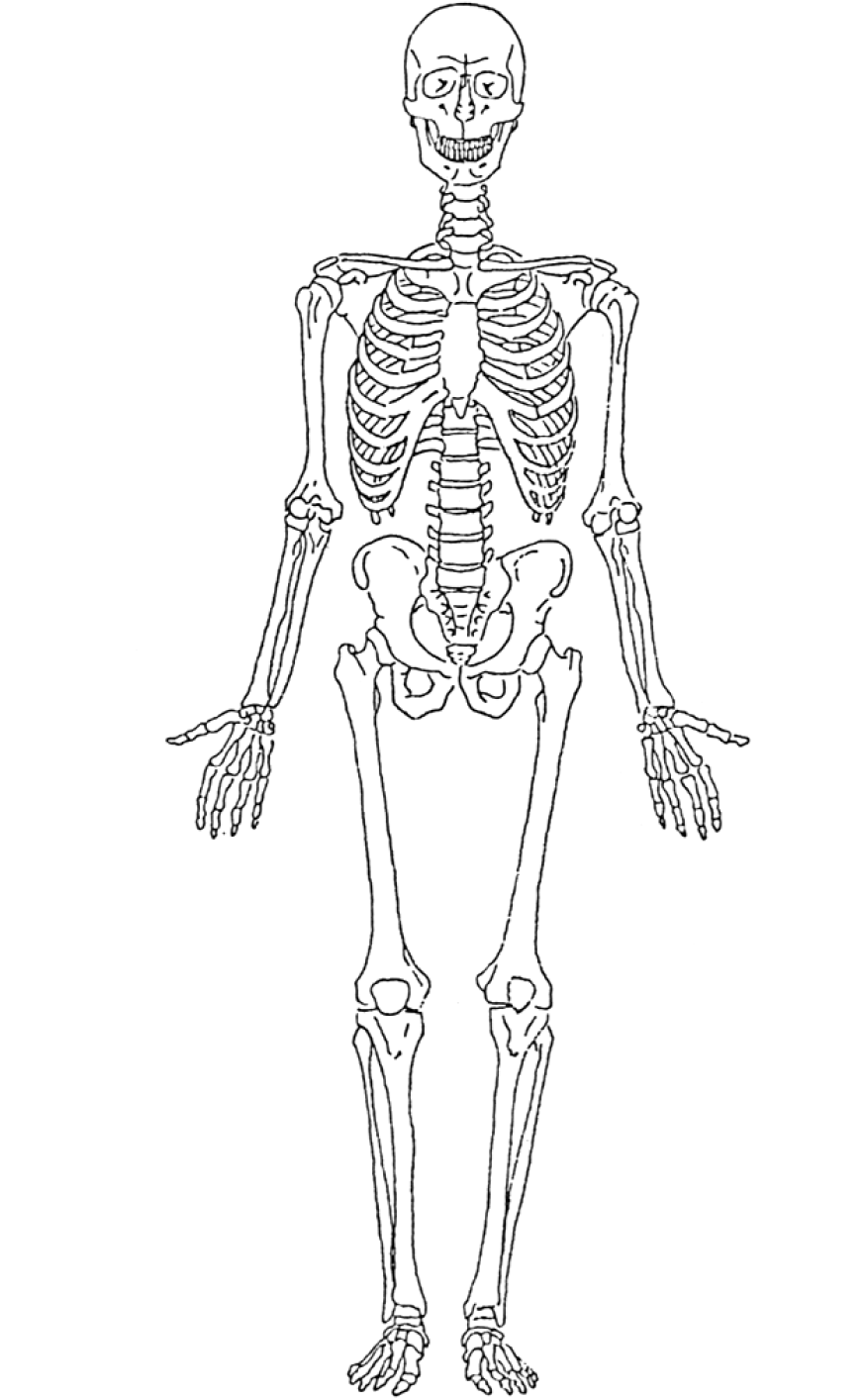 Раскраска: скелет (Персонажи) #147424 - Бесплатные раскраски для печати