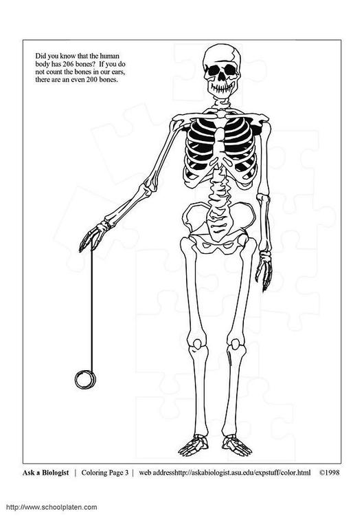 Раскраска: скелет (Персонажи) #147456 - Бесплатные раскраски для печати
