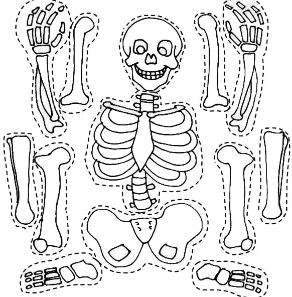Раскраска: скелет (Персонажи) #147464 - Бесплатные раскраски для печати