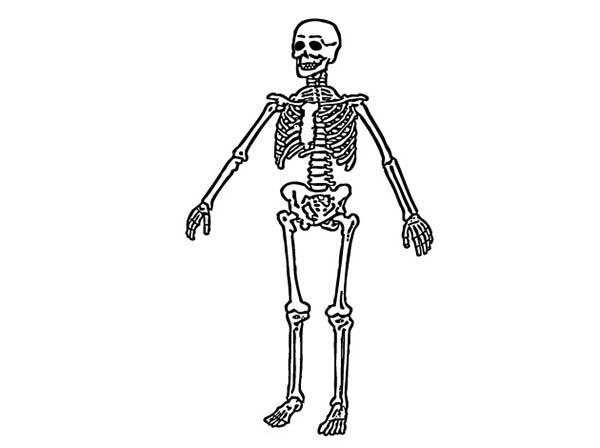 Раскраска: скелет (Персонажи) #147554 - Бесплатные раскраски для печати