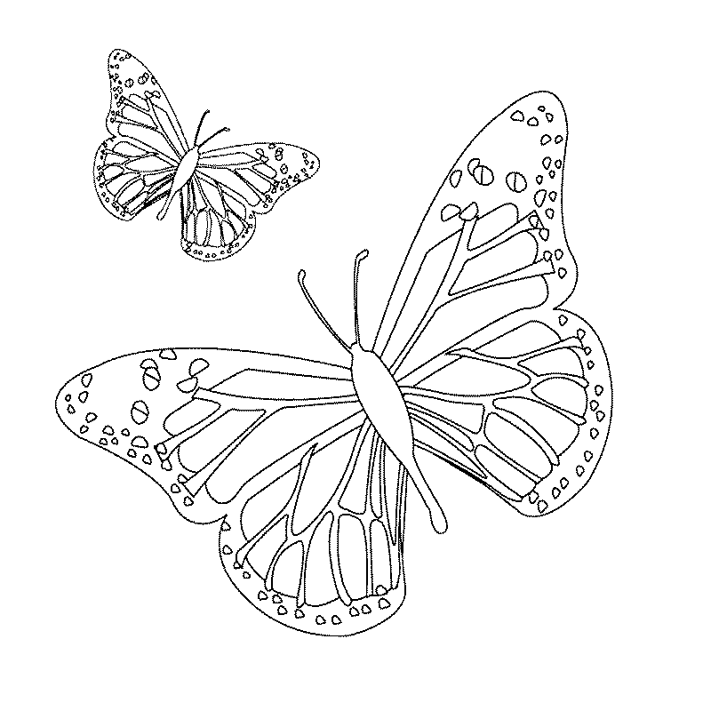 Раскраска: Бабочка Мандалы (мандалы) #117410 - Бесплатные раскраски для печати