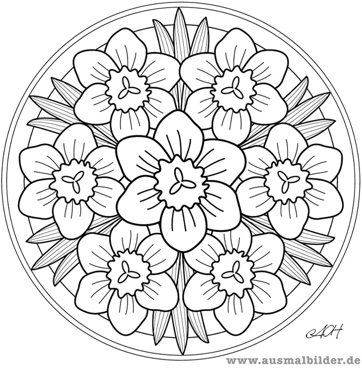 Раскраска: Цветы мандалы (мандалы) #117049 - Бесплатные раскраски для печати
