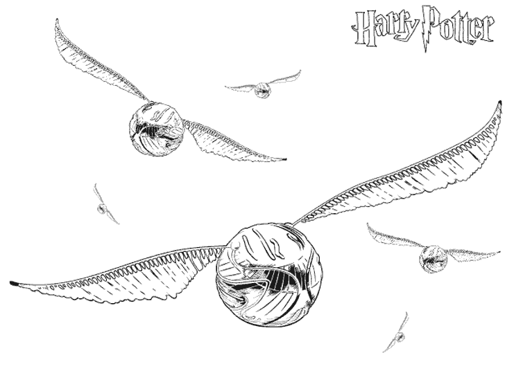 Раскраска: Гарри Поттер (кино) #69807 - Бесплатные раскраски для печати