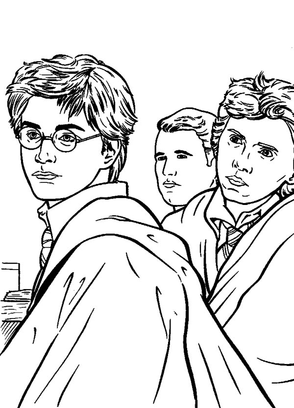 Раскраска: Гарри Поттер (кино) #69840 - Бесплатные раскраски для печати