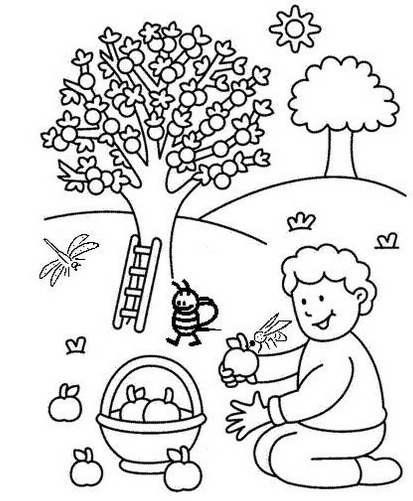 Раскраска: яблоко (природа) #163445 - Бесплатные раскраски для печати