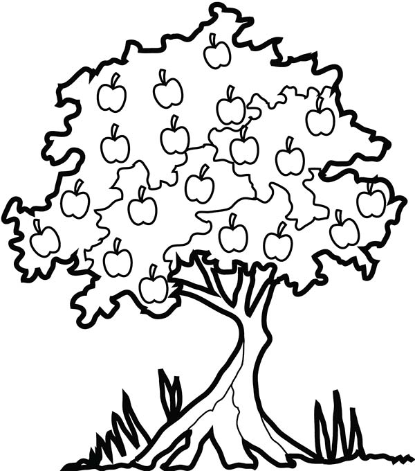 Раскраска: яблоко (природа) #163846 - Бесплатные раскраски для печати