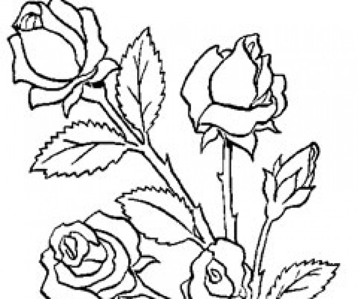Раскраска: Букет цветов (природа) #160747 - Бесплатные раскраски для печати