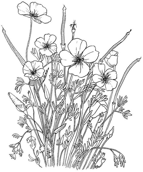 Раскраска: Букет цветов (природа) #160808 - Бесплатные раскраски для печати