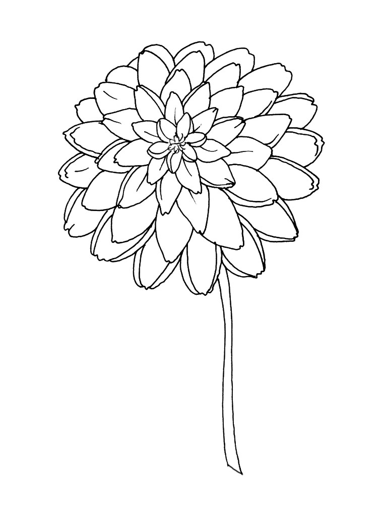 Раскраска: Букет цветов (природа) #160838 - Бесплатные раскраски для печати