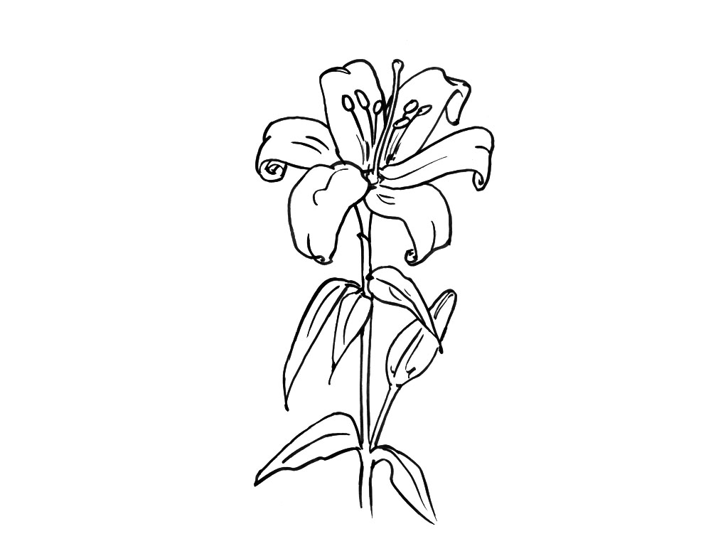 Раскраска: Букет цветов (природа) #160844 - Бесплатные раскраски для печати