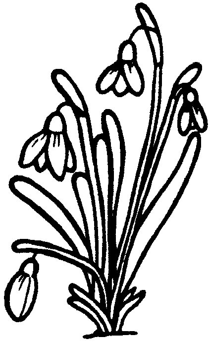 Раскраска: Букет цветов (природа) #160845 - Бесплатные раскраски для печати