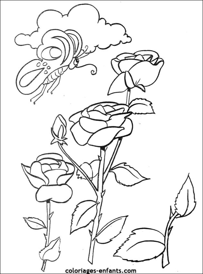 Раскраска: Букет цветов (природа) #160849 - Бесплатные раскраски для печати