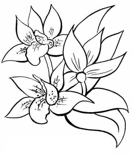Раскраска: Букет цветов (природа) #160860 - Бесплатные раскраски для печати