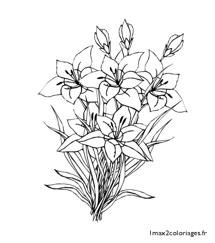 Раскраска: Букет цветов (природа) #160865 - Бесплатные раскраски для печати