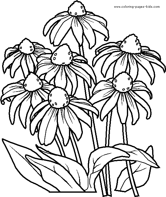 Раскраска: Букет цветов (природа) #160888 - Бесплатные раскраски для печати