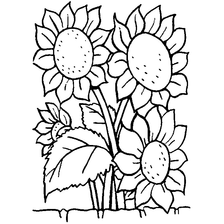 Раскраска: Букет цветов (природа) #160964 - Бесплатные раскраски для печати