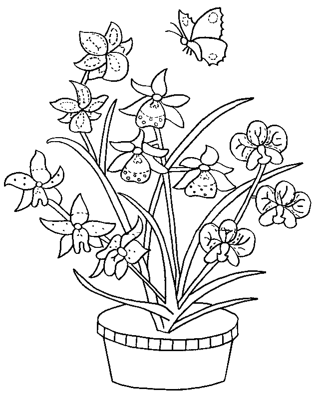 Раскраска: Букет цветов (природа) #161091 - Бесплатные раскраски для печати