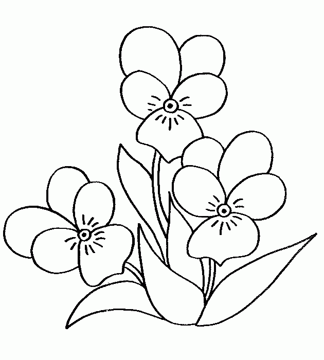 Раскраска: Букет цветов (природа) #161093 - Бесплатные раскраски для печати