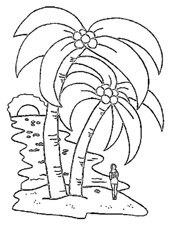 Раскраска: кокосовый (природа) #162367 - Бесплатные раскраски для печати