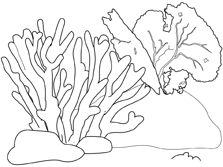 Раскраска Антистресс Кораллы