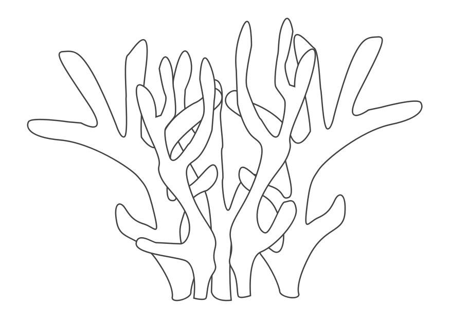 Раскраска: коралловый (природа) #162893 - Бесплатные раскраски для печати