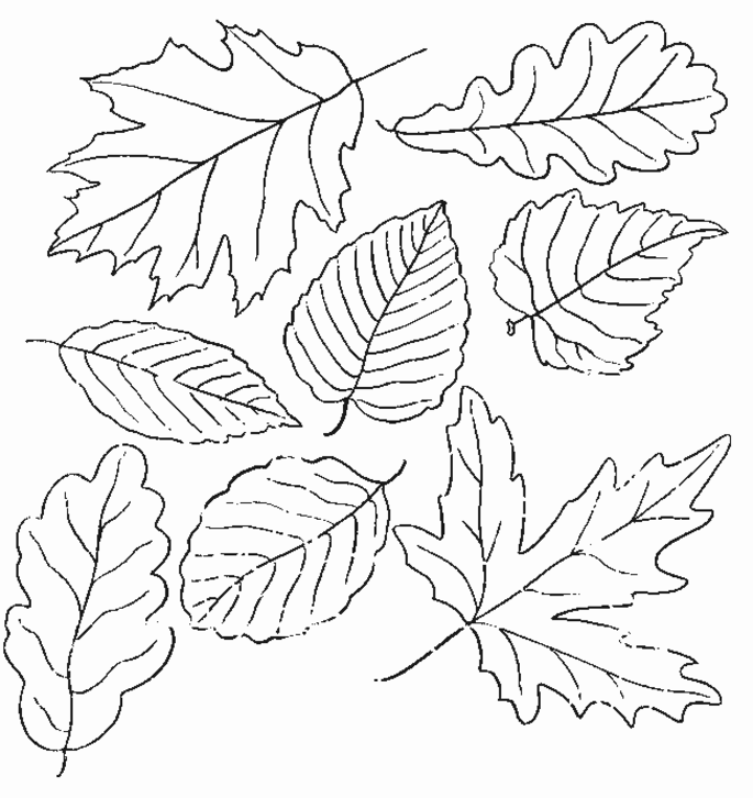 Раскраска: Осенний сезон (природа) #164052 - Бесплатные раскраски для печати