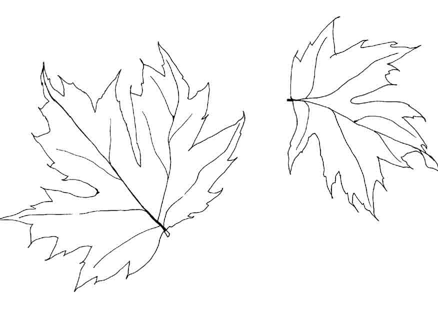 Раскраска: Осенний сезон (природа) #164140 - Бесплатные раскраски для печати