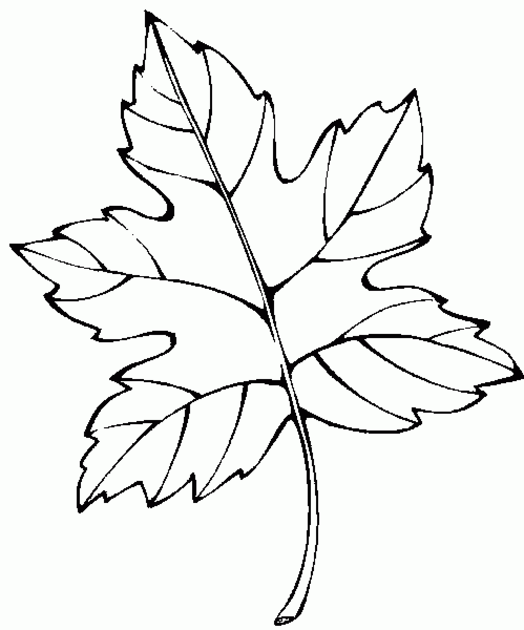 Раскраска: Осенний сезон (природа) #164180 - Бесплатные раскраски для печати