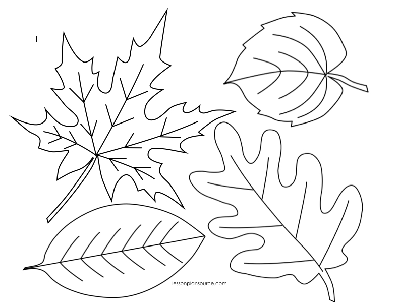 Раскраска: Осенний сезон (природа) #164199 - Бесплатные раскраски для печати